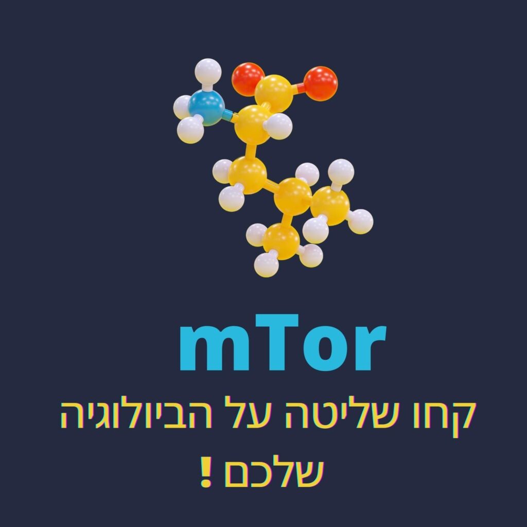 מודל מולקולרי צבעוני עם כדורים כחולים, אדומים, צהובים ולבנים מופיע מעל טקסט מודגש שבו כתוב “mTor”, ומתחתיו טקסט בעברית שפירושו “קחו שליטה על הביולוגיה שלכם!” על רקע כהה — מושלם לכל מי שמתעניין במיקרוביולוגיה או בהבנת העולם המרתק של המיקרובים. | ד"ר אמוץ זיו-אב