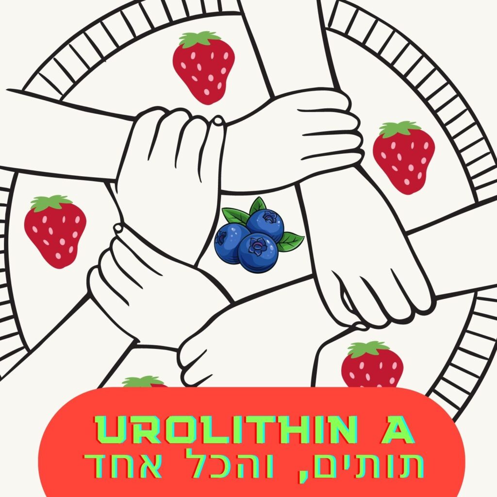 שש ידיים שלובות יוצרות מעגל סביב אוכמניות, כשסביב הידיים מסודרים תותים — המסמלים את תפקידה של המיקרוביולוגיה בטיפוח קשרים בריאים. בתחתית, מלבן אדום מעוגל מכיל טקסט צהוב בולט: “UROLITHIN A” ומתחתיו טקסט בעברית. הרקע לבן ומינימליסטי, המשקף את חשיבותה של תזונה בריאה באמצעות אלגנטיות פשוטה. | ד"ר אמוץ זיו-אב