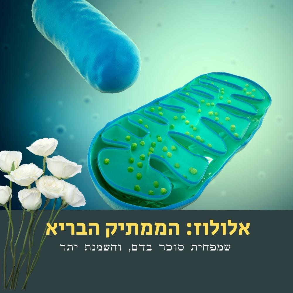 מוצגת איור דיגיטלי של מיטוכונדריה בצבעים כחול וירוק, המזכיר נושאים מתחום המיקרוביולוגיה. בפינה השמאלית התחתונה מופיעים פרחים לבנים. טקסט בעברית מופיע על גבי כרזה אפורה מתחת לתמונה. הרקע הוא מעבר צבעים כחול חלק. | ד"ר אמוץ זיו-אב