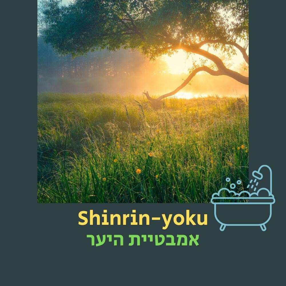 קרחת יער מוארת בשמש, עם עשב גבוה, פרחי בר ועץ המתעקל מעל הערפל, מעוררת את הכוח המרפא של “שינרין-יוקו”. הטקסט אומר “שינרין-יוקו” ו“אמבטיית יער” לצד סמל של אמבטיה — סמלים של חיבוק הטבע והקשר הנסתר בין מערכות אקולוגיות בריאות, מיקרוביולוגיה ומזון בריא — והכל על רקע ירוק כהה. | ד"ר אמוץ זיו-אב