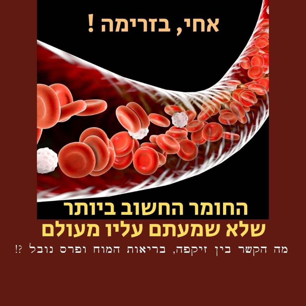 איור המציג תאי דם אדומים זורמים ורובד לבן בעורק, המדגיש את חשיבותה של תזונה בריאה לשמירה על עורקים נקיים. הטקסט בעברית בחלק העליון אומר: “אחי, איזו דרמה!”, ומתחתיו: “החומר החשוב ביותר שלא שמעתם עליו מעולם”. טקסט נוסף בעברית מופיע בתחתית התמונה. | ד"ר אמוץ זיו-אב