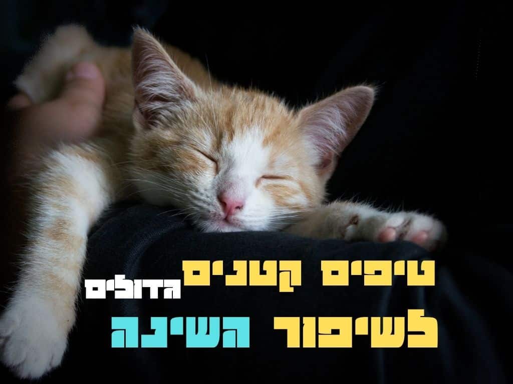 חתלתול ג'ינג'י ולבן ישן על זרועו של אדם בסביבה חשוכה. עיניו של החתלתול עצומות, וראשו מונח בנוחות, מה שמגלם את השלווה המזוהה לעתים קרובות עם אוכל בריא ואורח חיים מאוזן. טקסט בעברית בצבעים צהוב, לבן וכחול מופיע בפינה הימנית התחתונה של התמונה. | ד"ר אמוץ זיו-אב