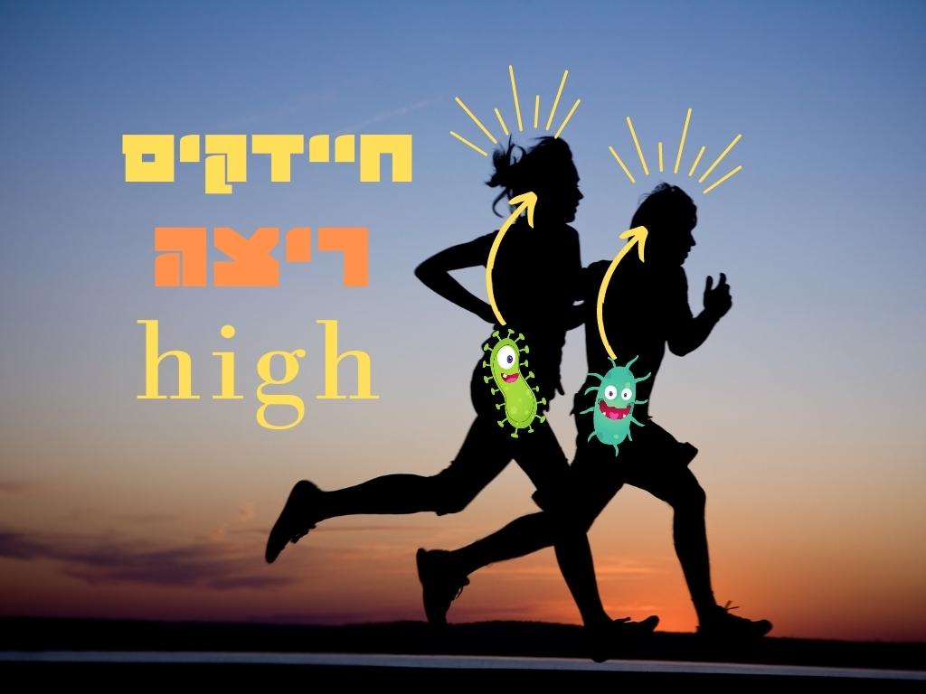 שתי דמויות בצללית רצות בשעת השקיעה, כשחיידקים מצוירים וחצים המצביעים על גבם, הממחישים את ההשפעה המשעשעת של המיקרובים על חיי היומיום שלנו. מעל מופיע טקסט בעברית, ומתחת המילה “high” בצבע כתום-צהוב. הסצנה משדרת אווירה אנרגטית ומשעשעת, בהשראת המיקרוביולוגיה. | ד"ר אמוץ זיו-אב