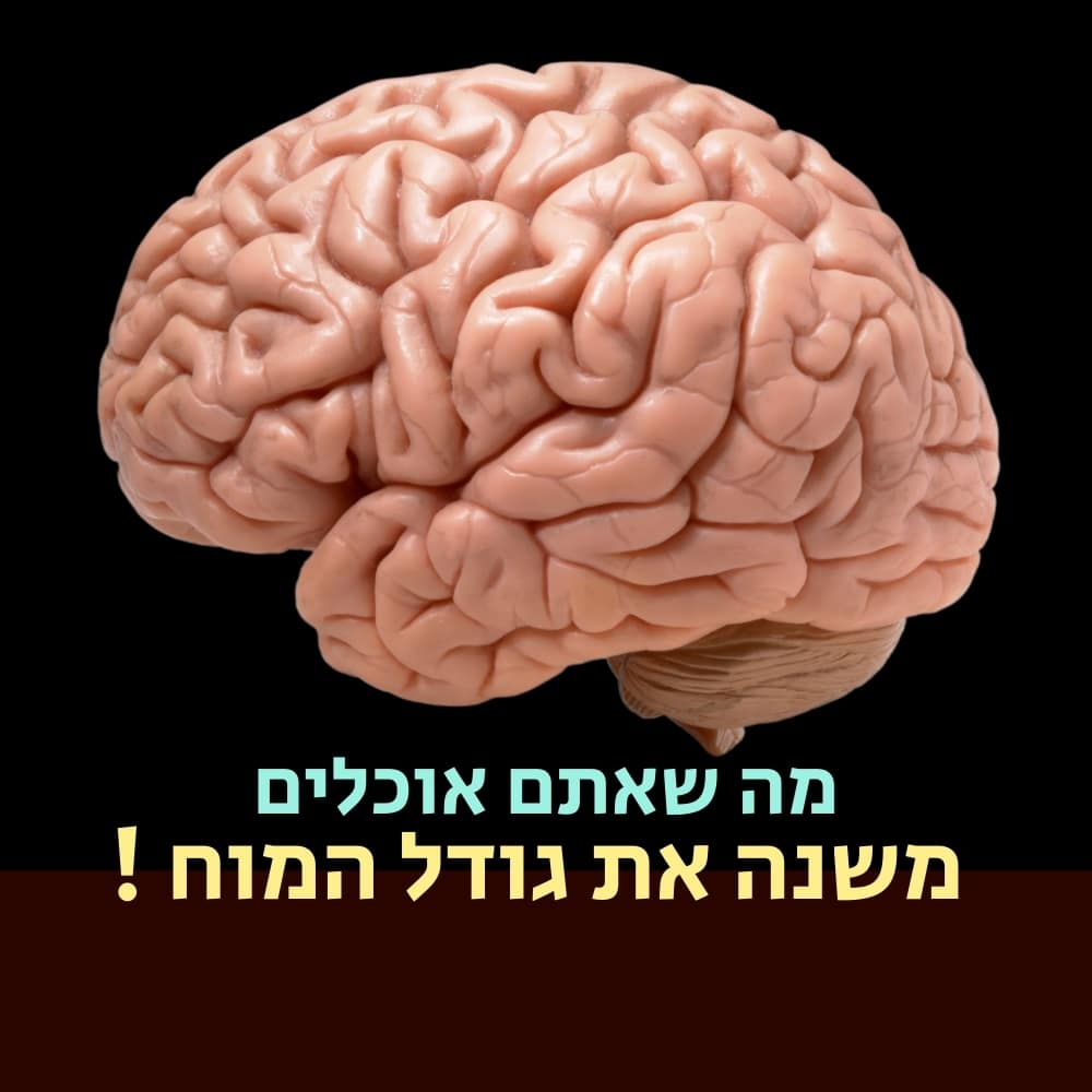 איור ריאליסטי של מוח אנושי על רקע שחור. מתחת לאיור מופיע טקסט בעברית בצבעים כחול וצהוב: “מה שאתם אוכלים משנה את גודל המוח !”, שמשמעותו “מה שאתם אוכלים משנה את גודל המוח!”. התמונה מרמזת בעדינות על חשיבותו של אוכל בריא בהתפתחות המוח. | ד"ר אמוץ זיו-אב
